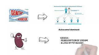 Liddles syndrome Clinical features Pathophysiology and Treatment [upl. by Akemihs]