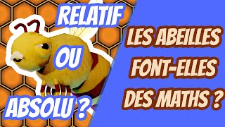 Les abeilles fontelles des maths  13 Cuicui Express 5 [upl. by Silber]