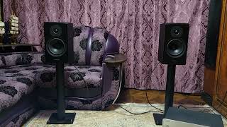 Dynaudio Emit 20 [upl. by Luapnoj390]