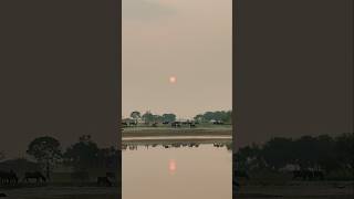 uga hai surujdev chhat puja  shots video viral [upl. by Air]