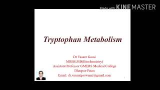 Tryptophan Metabolism  Serotonin and Melatonin Synthesis  Biochemistry [upl. by Kared]