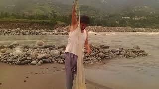 traditional cast net fishing in swat river  amazing cast net fishing [upl. by Adnilrev]