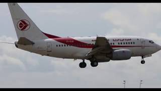 Boeing 737 NG MSN 30210 7T VJS Air Algerie landing CDG very close up 12 August SUMMER 20 [upl. by Ahsatal]