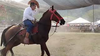 Cabalgata Feria Ganadera Provincial Zamora 2024 [upl. by Naji]