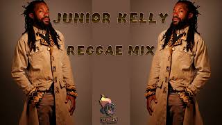 JUNIOR KELLY BEST OF REGGAE LOVERS ROCK AND CULTURE [upl. by Inat148]