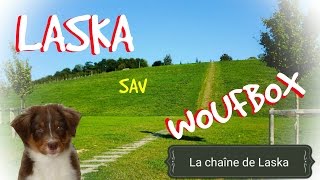 Jai testé pour vous le SAV Woufbox 10 [upl. by Eelirrem]