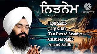 Nitnem Sahib full path  Bhai Manpreet Singh Kanpuri kirtan singh gurbanikirtan gurbani music [upl. by Elokkin]