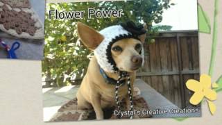 Crochet Dog Hats [upl. by Letta]