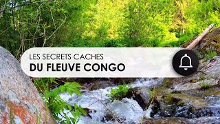 LES SECRETS CACHES DU FLEUVE CONGO RDC nature aventure ENGLISH SUBTITLE [upl. by Epoh]