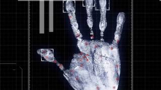 Palm Scanner [upl. by Gaidano]