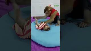 dodo wake newborn up cutenewborn lovelynewborn newbornmonkey clevermonkey [upl. by Barron]