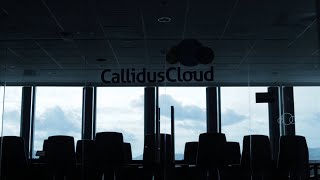 CallidusCloud  Thought Leadership  Commissions [upl. by Gearard]