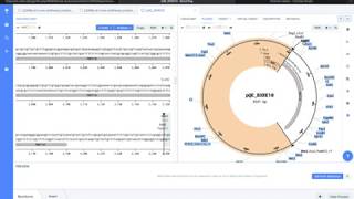 Benchling tutorial Recombinant Vector [upl. by Schrick]