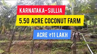 550 Acre Areca Agricultural Farm For Sale  Karnataka  Sullia Acre 11 Lakh [upl. by Adnawat]