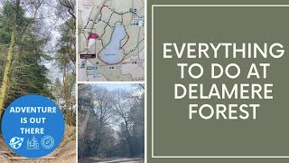 Delamere Forest  Walking  Cycling  Mountain biking  Go Ape  Picnics [upl. by Akenahc]