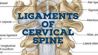 Ligaments of cervical spine [upl. by Anatsirhc731]