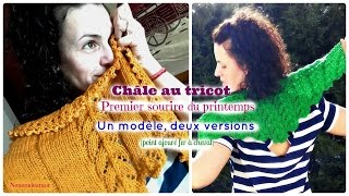 Tricot le Châle quotPremier sourire du printempsquot  un modèle deux versions [upl. by Yoshi827]