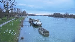 Eco  Erfolg in BadenWürttemberg Niedergang im Elsass [upl. by Leopold387]