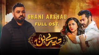 Tere Bin OST 2022  Shani Arshad  New Song Released [upl. by Fabri]