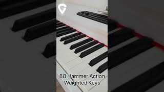 YMA15 Upright Digital Grand Piano with 88 Hammer Action Weighted Keys [upl. by Mandler]