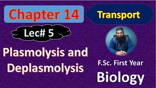 Plasmolysis and Deplasmolysis I Chapter 14 Biology I FSc First Year Lec 05 [upl. by Yarod]