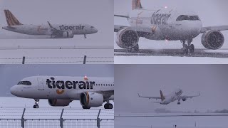 231230 旭川空港 国際線 Tigerair A320200N B50026 Arrival amp Departure at Asahikawa Airport RJEC [upl. by Rehpotsrihc]