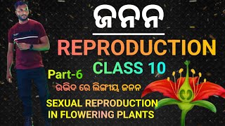 ଉଦ୍ଭିଦ ରେ ଲିଙ୍ଗୀୟ ଜନନ ଫୁଲFlower ପରାଗଣPollination  Class 10 biology chapter6 in odia  Part6 [upl. by Nayhr189]