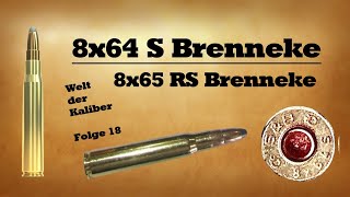 8x64 S Brenneke  8x65 RS Brenneke  Welt der Kaliber  Folge 18 [upl. by Oinota]