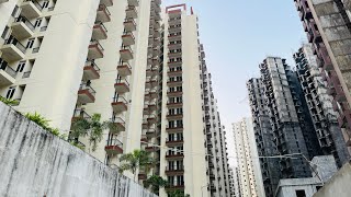 Amrapali Dream Valley phase 2 construction update Noida extension Techzone 4 NBCC project [upl. by Florance]