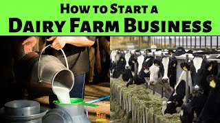 How to Start a Dairy Farm Business  The Complete Guide [upl. by Ydnik]