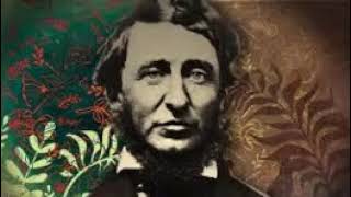 Henry David Thoreau  Winter Journal February 13 1859 [upl. by Pinkerton186]