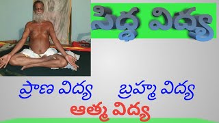 V163 siddha vidya  సిద్ధ విద్య [upl. by Adnirod]