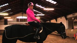 Conseils pour le cavalier et le cheval en cas de froid  Equidia Life [upl. by Anitsyrc85]