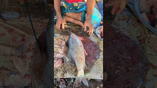 Most Expensive amp Popular Giant Rohu Fish Cutting Live Fish Market 🤭 Episode328 shorts [upl. by Eadahs]