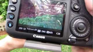 Canon EF 28135mm f3556 IS Test Footage and Review [upl. by Acissehc]