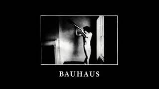 Bauhaus  Rosegarden Funeral of Sores instrumental [upl. by Sethi522]