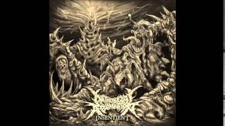 Pathological Abomination – Insentient Full Album 2014 [upl. by Boiney510]