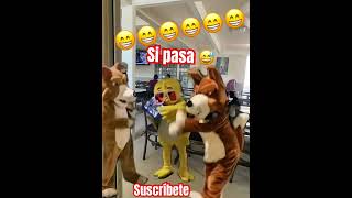 No es mi problema 🤣😂🤣😂 fypシ゚viral humor comedia memes [upl. by Francie518]