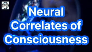 Understanding Organoid Consciousness Breakthroughs in Neuroscience and Ethics [upl. by Akinajnat]