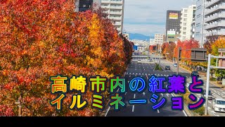 高崎市内の紅葉とイルミネーションを見て来ました [upl. by Zippora]