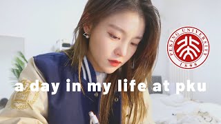 Day in the Life of a University Student  Exam Week  Peking University  Beijing Vlog [upl. by Eanehs]