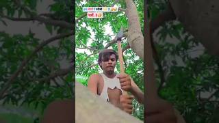 Subscribe pls 🙏🙏magahi funny comedy punjabi trending shorts [upl. by Aytida]