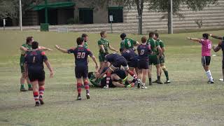 FAU Rugby Scoring Highlights vs USF  FCC 15s 1262019 [upl. by Alejandra]