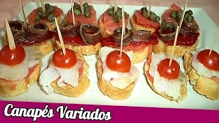 CANAPÉS VARIADOS  Recetas de Cocina [upl. by Nicolette454]