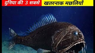 Most 3 Dangerous Fish in the world 🤯 दुनियाँ की 3 सबसे खतरनाक मछलियाँ nanukefacts facts shorts [upl. by Notsae]