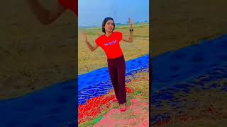 bhojpuri khesarilalyadavnewsong2023and [upl. by Zinn]