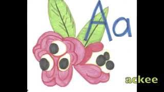 A is for Ackee A Jamaican Letter Sound Chant [upl. by Carlye]