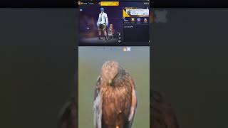 Legend 👀👑 freefire sgislive08 garenafreefire shortvideos ytshorts viralvideos [upl. by Mira261]