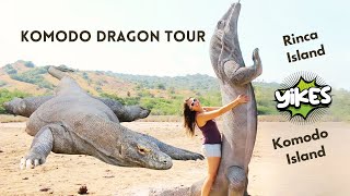 Komodo Dragon Tour  Rinca and Komodo Island [upl. by Langelo]