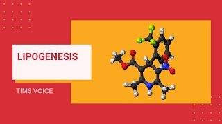 Lipogenesis Biochemistry lecture 1Module 202 [upl. by Tsan]